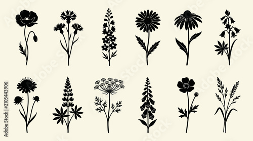 Bild auf Leinwand Floral silhouettes collection diverse botanicals