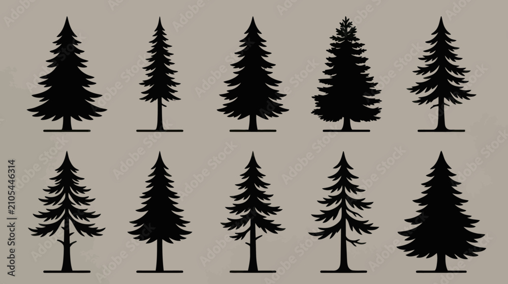 Fototapeta premium Various pine tree silhouettes