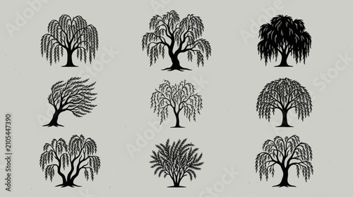 Photos Weeping willow tree silhouettes