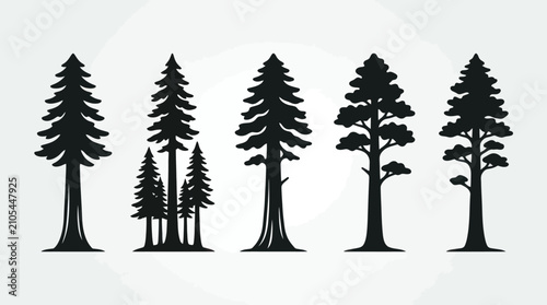 Bild auf Leinwand Various tall evergreen tree silhouettes
