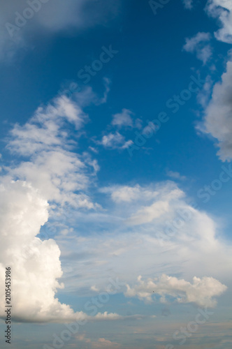 Quadro su tela Blue sky background - vertical skyscape featuring a bright blue sky filled with