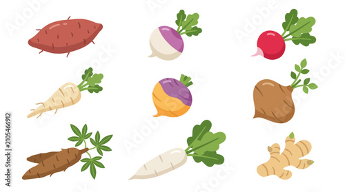 Foto Assortment of root vegetables collection