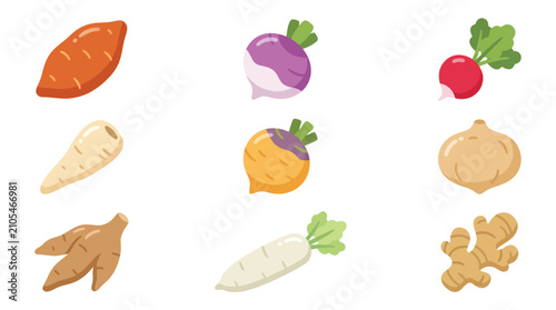 Bild auf Leinwand Assortment of root vegetables isolated
