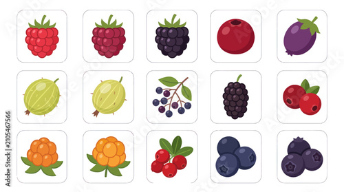 Collection of fresh berries illustrations