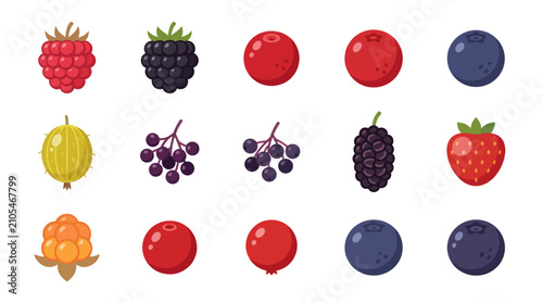 Bild auf Leinwand Collection of assorted fresh berries icons