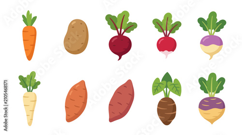 Bild auf Leinwand Collection of root vegetables