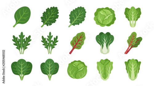 фотографія Collection of fresh leafy green vegetables