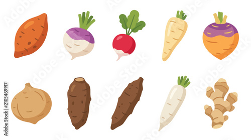 Bild auf Leinwand Root vegetable collection graphic design