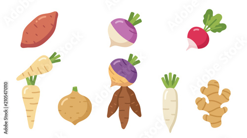 Root vegetables assortment