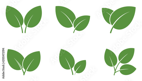 Collection of green leaf icons representing nature and environmental sustainability design elements with eco friendly eco system eco conscious