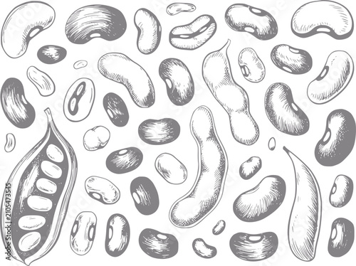 Cuadro en lienzo Dibujo a mano de varios frijoles y soja en un patrón disperso