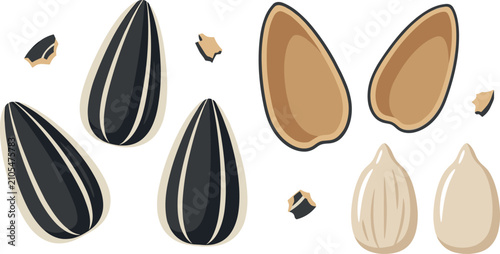 Quadro su tela Healthy sunflower seed flat vector icon collection with raw unshelled seeds empt