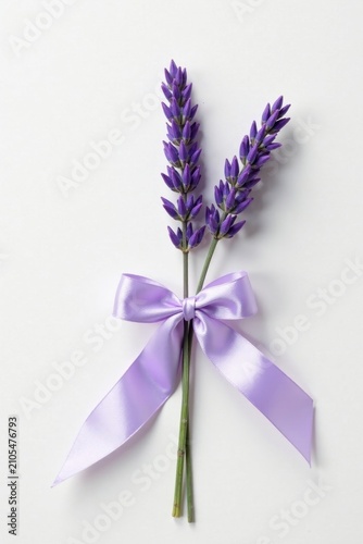Delicate Lavender Sprigs Tied with a Lavender Bow on a White Background