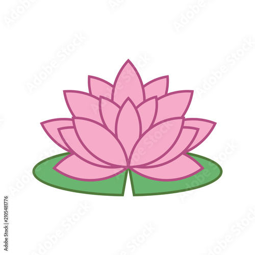 Minimalist lotus flowers in flat design style. Pink lotus flowers and green lily pads flat vector illustration. Pink lotus flower flat vector illustration