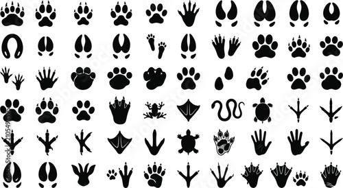 Bild auf Leinwand Animal paw prints and tracks vector silhouette set, with wild mammal bird amphib