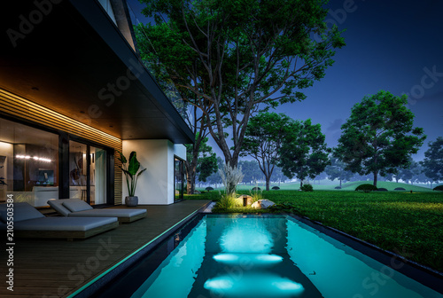 3d rendering of contemporary architectural luxury house exterior at night. Modern Scandinavian style family home, dramatic exterior lighting and garden landscaping at twilight
