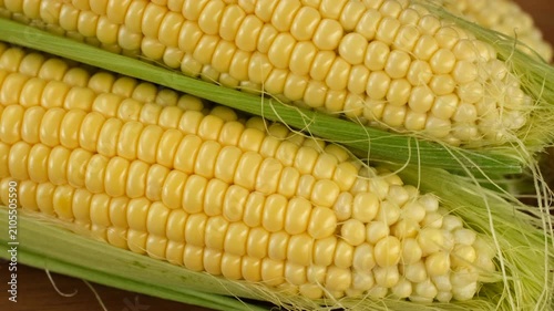 Raw corn cob close up, rotation. Healthy vegan food ideas