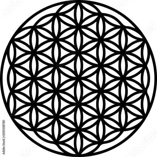 Photos Flower of Life SVG, Sacred Geometry, Mandala Vector, Platonic Solids SVG, Tree o
