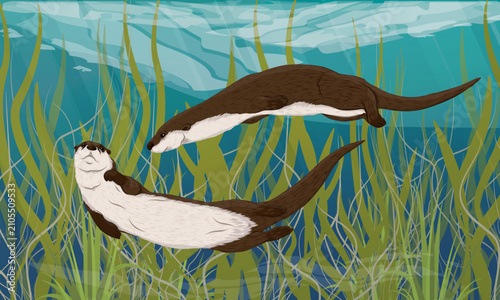 River otter swimming in underwater seaweed landscape