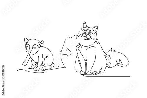 A kitten grows into an adult cat.Metamorphosis concept.Single line draw design.Vector graphic illustration