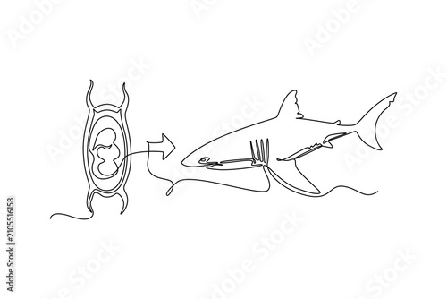A shark emerges from an egg and grows into an adult shark.Metamorphosis concept.Single line draw design.Vector graphic illustration