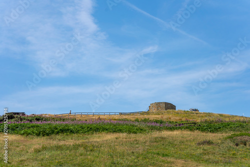 Cuadro en lienzo Historic Martello Tower on Howth Head Surrounded by Wildflowers, Ireland