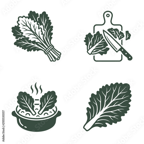 Photography Kale leafy green vegetable bunch.