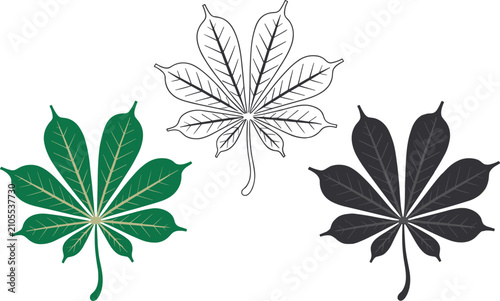 Set of stylized horse chestnut leaf icons in flat and outline styles, vector illustration collection of botanical elements
