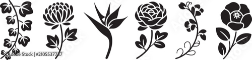 Foto Wildflowers and Botanical Garden Flowers Black Silhouette Icons Set Vector