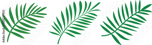 Set of stylized green palm leaves and tropical foliage elements isolated on white background for design