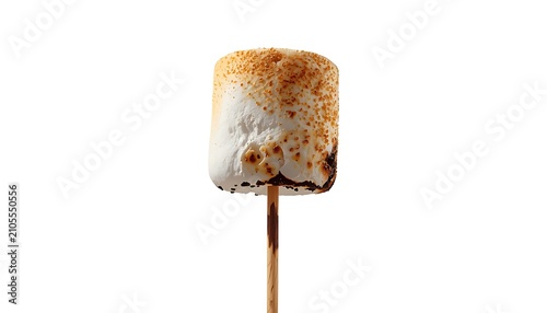   
A single toasted marshmallow on a stick, golden‑brown surface with darker charred spots, roasted appearance suggesting campfire cooking, simple composition highlighting classic outdoor treat