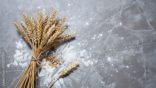 Rustic wheat ears with flour on grey marble background, golden grain stalks for bakery concept, organic cereal harvest on stone surface