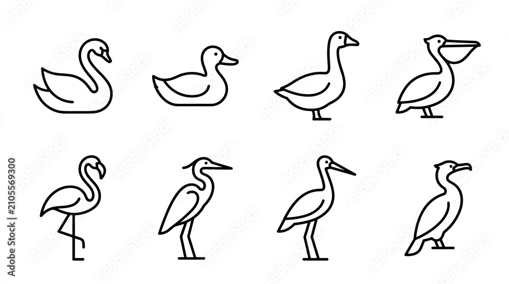Fototapeta premium Water Bird Outline Icon Collection in Minimal Monoline Wildlife Line Art Style Vector Illustration Set