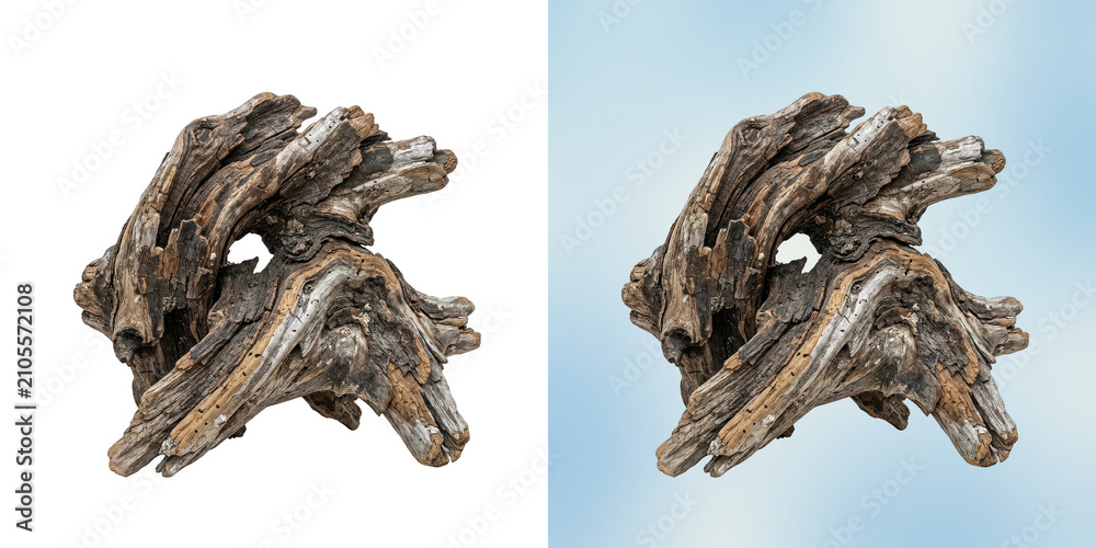 Fototapeta premium Textured Natural Weathered Driftwood Piece Isolated on a Clean Background for Design Elements