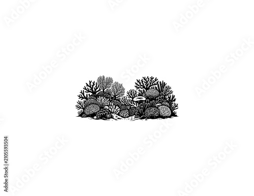 Minimalist Black and White Pine Trees Vector Illustration