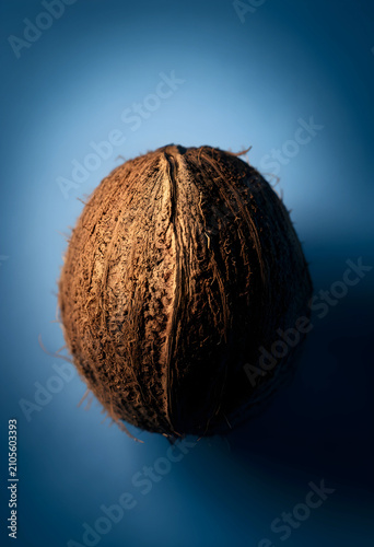 Whole coconut with fibrous ...