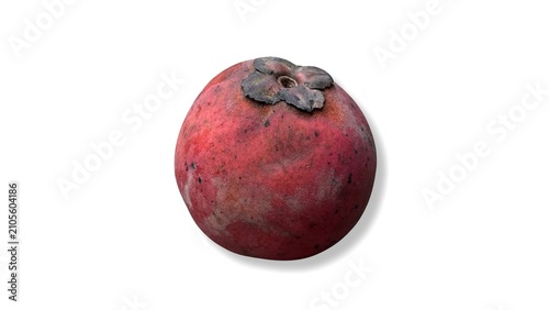 Foto One singular reddish fruit with a dried calyx on a white background