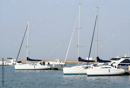 White sailboats and luxury ...
