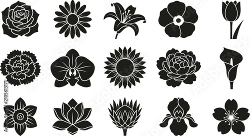 Bild auf Leinwand Fifteen black flower silhouettes organized in a grid, featuring a variety of bot