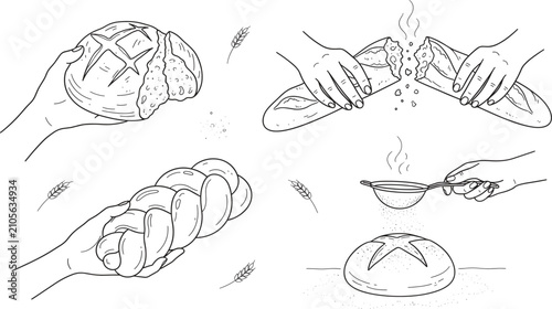 Photos Hand drawn vector sketches of hands holding breaking sifting flour on fresh bake