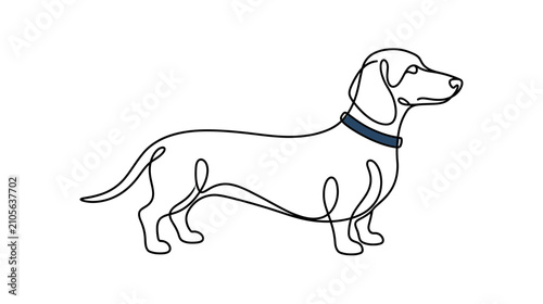 Continuous Line Drawing of a Dachshund Dog with Collar