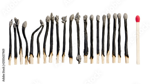 Canvastavla Burnt wooden matches and one red tipped matchstick