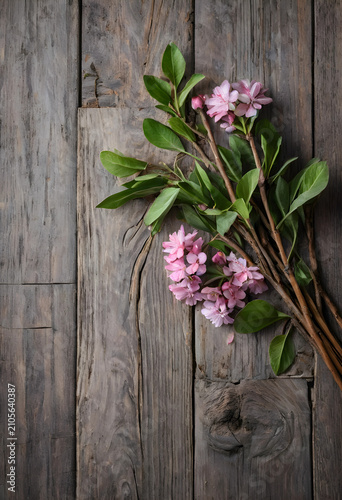Pink flowers and green leav...