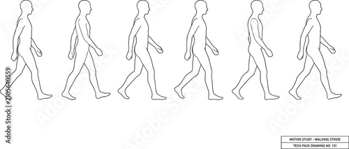 Obraz na płótnie Male walking stride motion study vector line art sequence showing human gait cyc