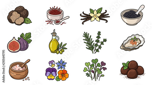 Canvastavla Industrial Set of Diverse Spices Herbs and Exotic Ingredients with Vibrant Color