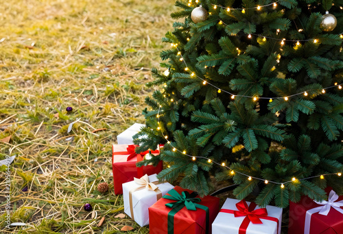 Outdoor christmas tree with...