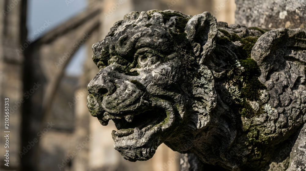 Fototapeta premium Ancient Gargoyle statue with moss