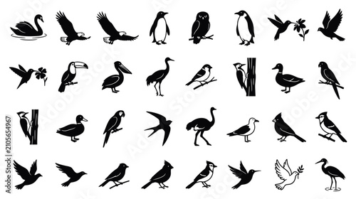 Quadro su tela Collection of Diverse Bird Silhouettes in Black and White