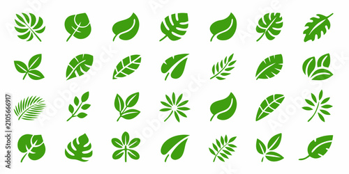 Fényképezés Green Leaf Icons Collection Vector Illustration On White Background