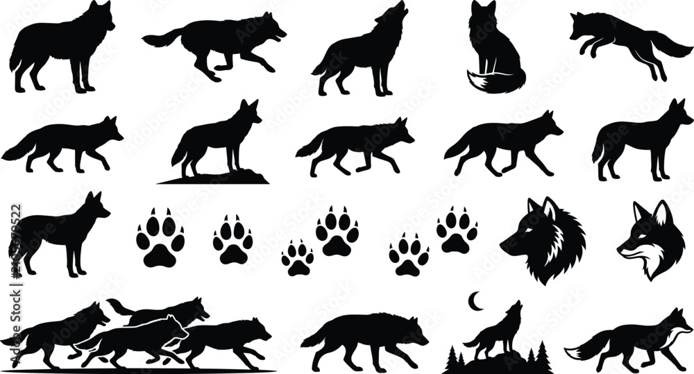 Obraz premium Wolf Silhouette Collection with Wild Animal and Paw Print Vector Illustration Set